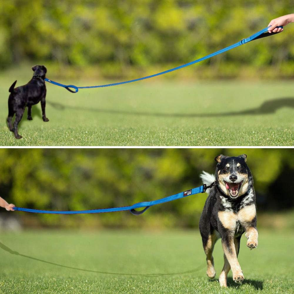 Dog Leash 6Ft Long,Traffic Padded Two Handle,Heavy Duty,Reflective Double Handles Lead for Control Safety Training,Leashes for Large Dogs or Medium Dogs,Dual Handles Leads(Light Blue) | Reflective Nylon, Soft Padded 2 Handles, Heavy Duty for Training, Dual Handle Lead, 6 FT X 1”, Light Blue