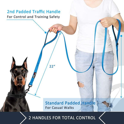 Dog Leash 6Ft Long,Traffic Padded Two Handle,Heavy Duty,Reflective Double Handles Lead for Control Safety Training,Leashes for Large Dogs or Medium Dogs,Dual Handles Leads(Light Blue) | Reflective Nylon, Soft Padded 2 Handles, Heavy Duty for Training, Dual Handle Lead, 6 FT X 1”, Light Blue