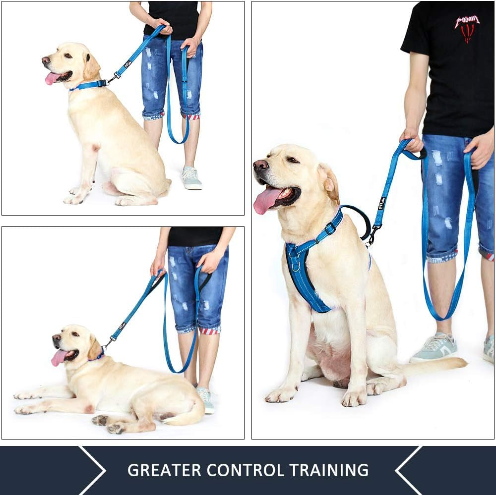Dog Leash 6Ft Long,Traffic Padded Two Handle,Heavy Duty,Reflective Double Handles Lead for Control Safety Training,Leashes for Large Dogs or Medium Dogs,Dual Handles Leads(Light Blue) | Reflective Nylon, Soft Padded 2 Handles, Heavy Duty for Training, Dual Handle Lead, 6 FT X 1”, Light Blue