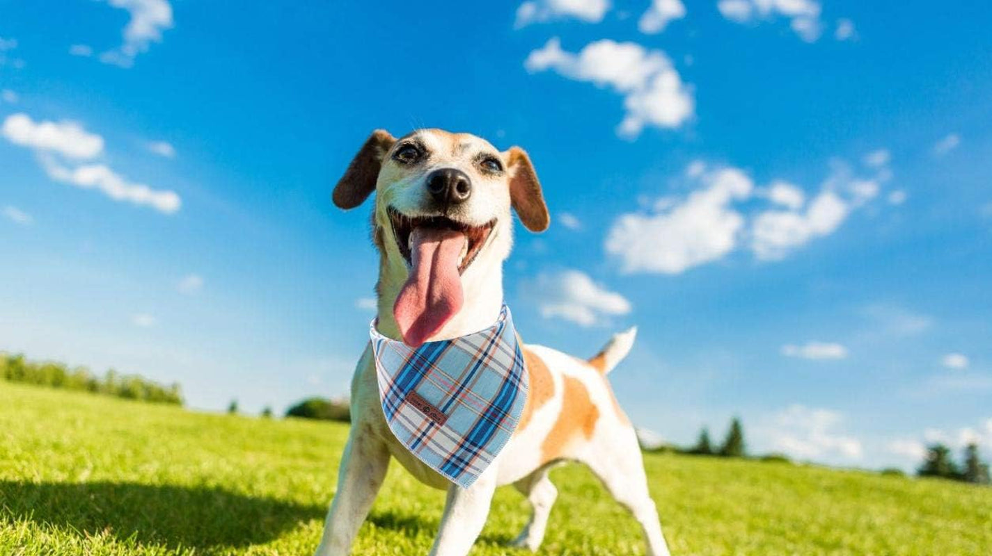 Dog Bandana for Small Medium Large Dogs, Cat Kerchief Blue Plaid, Triangle Bibs Scarf for Girl or Boy