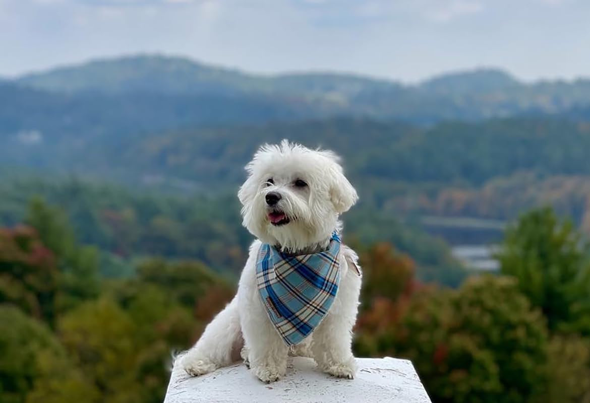 Dog Bandana for Small Medium Large Dogs, Cat Kerchief Blue Plaid, Triangle Bibs Scarf for Girl or Boy