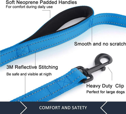 Dog Leash 6Ft Long,Traffic Padded Two Handle,Heavy Duty,Reflective Double Handles Lead for Control Safety Training,Leashes for Large Dogs or Medium Dogs,Dual Handles Leads(Light Blue) | Reflective Nylon, Soft Padded 2 Handles, Heavy Duty for Training, Dual Handle Lead, 6 FT X 1”, Light Blue