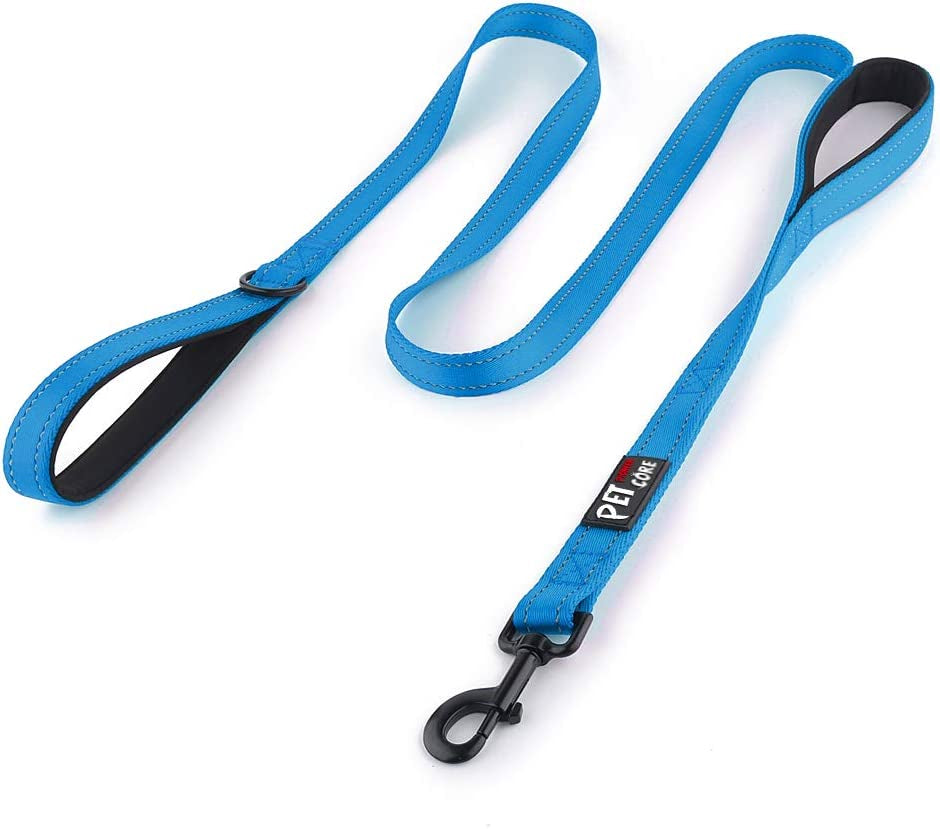 Dog Leash 6Ft Long,Traffic Padded Two Handle,Heavy Duty,Reflective Double Handles Lead for Control Safety Training,Leashes for Large Dogs or Medium Dogs,Dual Handles Leads(Light Blue) | Reflective Nylon, Soft Padded 2 Handles, Heavy Duty for Training, Dual Handle Lead, 6 FT X 1”, Light Blue