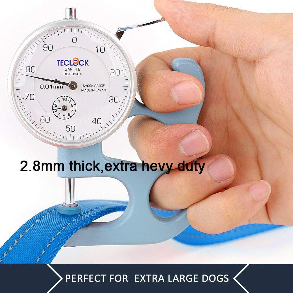 Dog Leash 6Ft Long,Traffic Padded Two Handle,Heavy Duty,Reflective Double Handles Lead for Control Safety Training,Leashes for Large Dogs or Medium Dogs,Dual Handles Leads(Light Blue) | Reflective Nylon, Soft Padded 2 Handles, Heavy Duty for Training, Dual Handle Lead, 6 FT X 1”, Light Blue